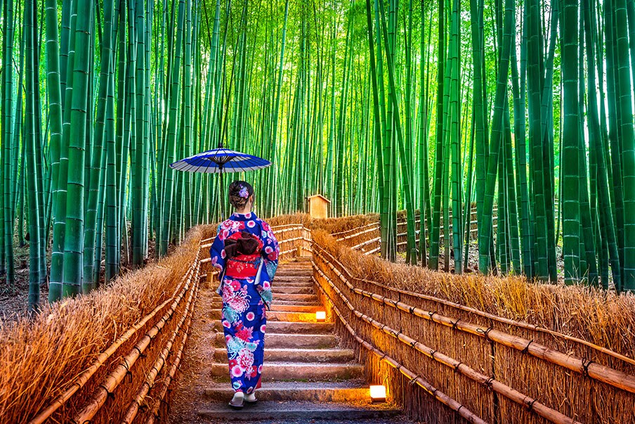 Arashiyama Bamboo Grove