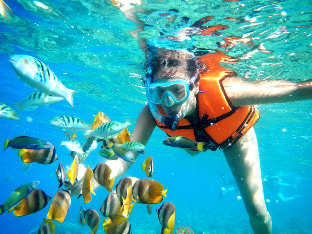 snorkeling panglao